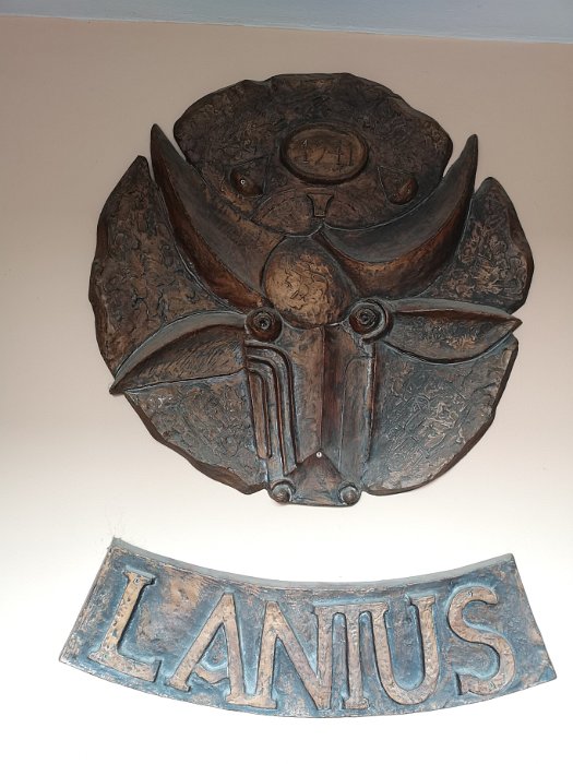 Trenčiansky Pivovar Lanius (10)